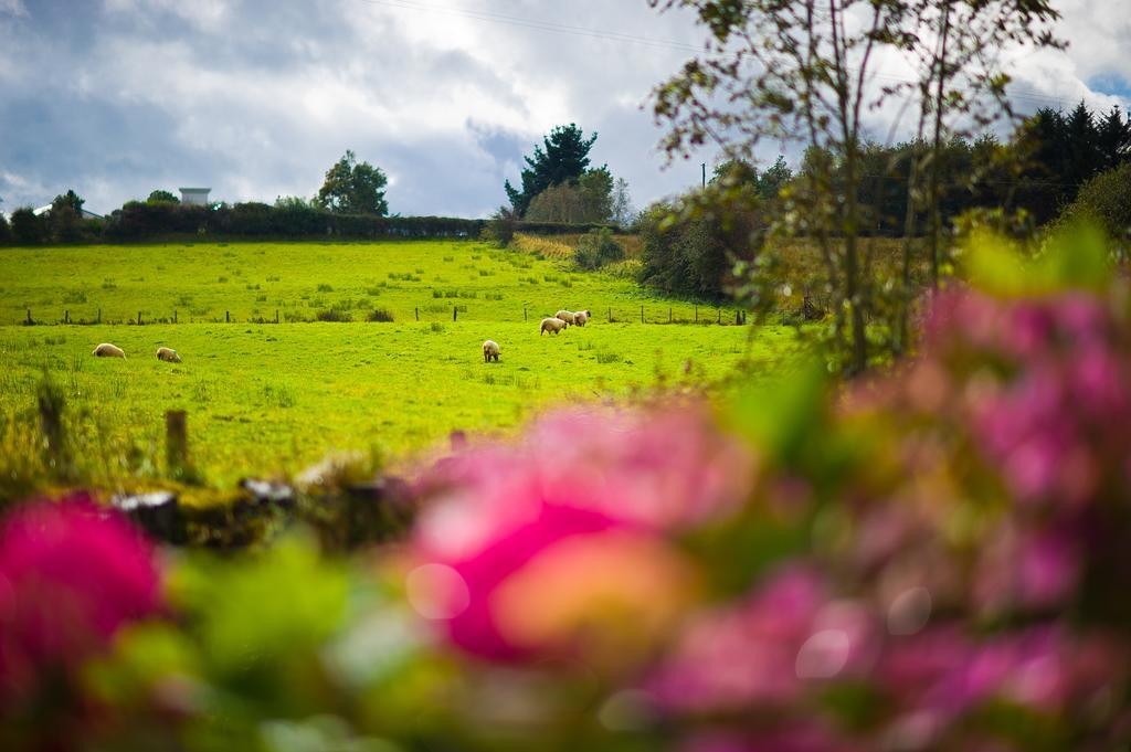 Seisnaun B&B Sligo Exterior foto
